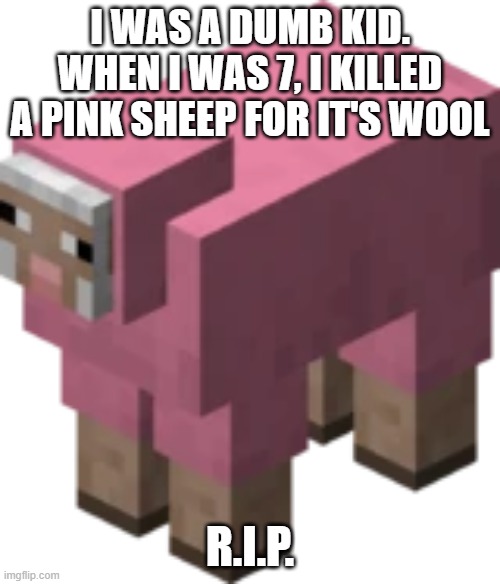 *insert clever title here* |  I WAS A DUMB KID. WHEN I WAS 7, I KILLED A PINK SHEEP FOR IT'S WOOL; R.I.P. | image tagged in minecraft | made w/ Imgflip meme maker