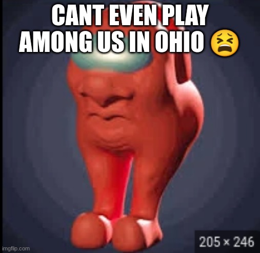 Sad | CANT EVEN PLAY AMONG US IN OHIO 😫 | image tagged in amogus | made w/ Imgflip meme maker