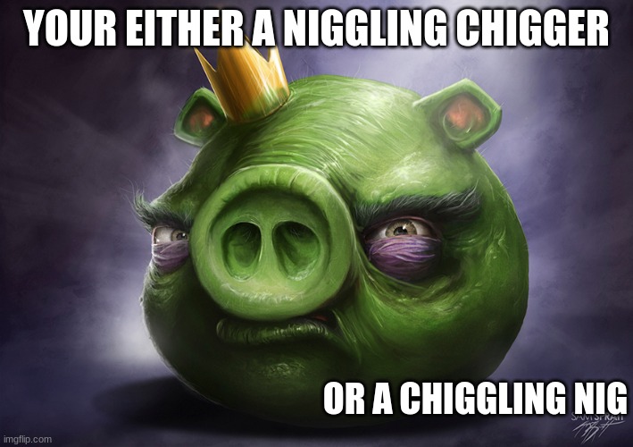 hyper realistic angry bird pig | YOUR EITHER A NIGGLING CHIGGER; OR A CHIGGLING NIG | image tagged in hyper realistic angry bird pig | made w/ Imgflip meme maker