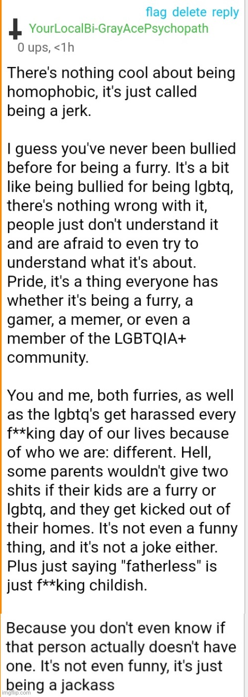 For context I was chatting with LordReaperus, a homophobic furry | image tagged in comments | made w/ Imgflip meme maker