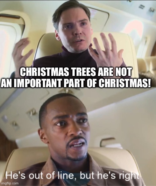 He's out of line but he's right | CHRISTMAS TREES ARE NOT AN IMPORTANT PART OF CHRISTMAS! | image tagged in he's out of line but he's right | made w/ Imgflip meme maker