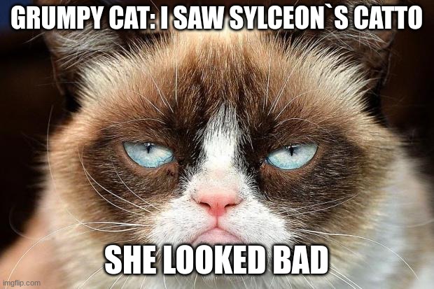 ... | GRUMPY CAT: I SAW SYLCEON`S CATTO; SHE LOOKED BAD | image tagged in memes,grumpy cat not amused,grumpy cat | made w/ Imgflip meme maker