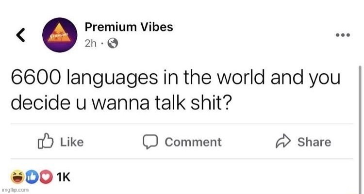 Over 6600 Languages | image tagged in over 6600 languages,memes,shitpost,msmg | made w/ Imgflip meme maker