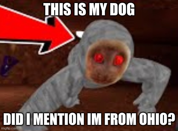 Capuchin VR is the best game I've ever played! Go check it out :) | THIS IS MY DOG; DID I MENTION IM FROM OHIO? | made w/ Imgflip meme maker