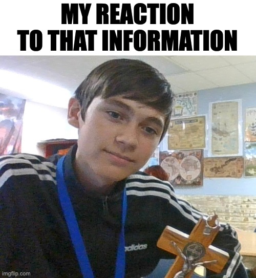 My Reation To That Information | MY REACTION TO THAT INFORMATION | image tagged in meme | made w/ Imgflip meme maker