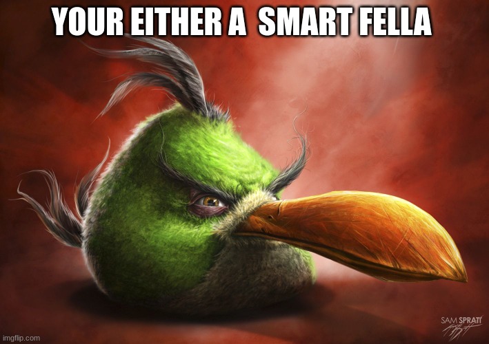 Realistic Angry Bird | YOUR EITHER A  SMART FELLA | image tagged in realistic angry bird | made w/ Imgflip meme maker