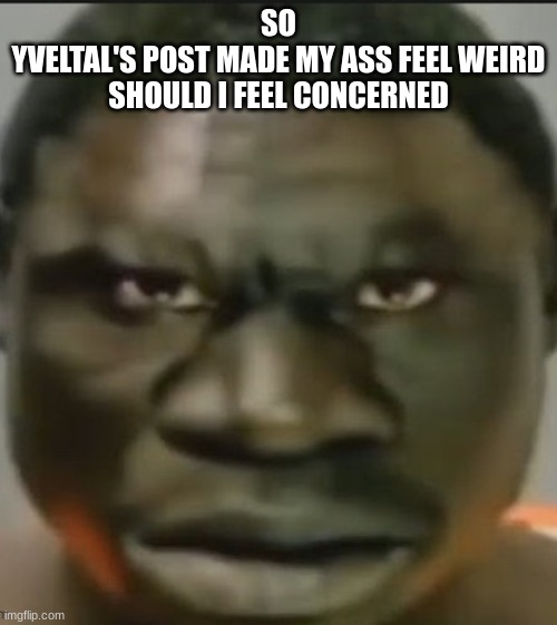 t | SO
YVELTAL'S POST MADE MY ASS FEEL WEIRD
SHOULD I FEEL CONCERNED | image tagged in t | made w/ Imgflip meme maker