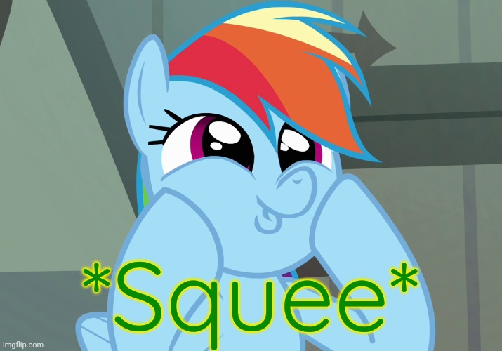 Dashface (MLP) | *Squee* | image tagged in dashface mlp | made w/ Imgflip meme maker