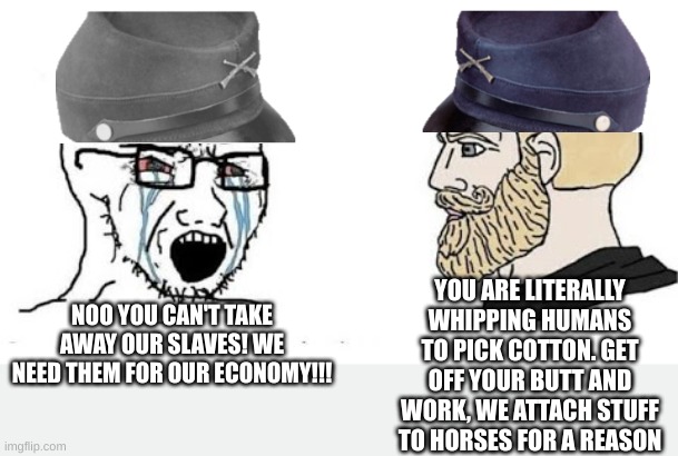 american civil war meme | YOU ARE LITERALLY WHIPPING HUMANS TO PICK COTTON. GET OFF YOUR BUTT AND WORK, WE ATTACH STUFF TO HORSES FOR A REASON; NOO YOU CAN'T TAKE AWAY OUR SLAVES! WE NEED THEM FOR OUR ECONOMY!!! | image tagged in soyjak vs chad | made w/ Imgflip meme maker