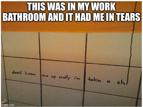 THIS WAS IN MY WORK BATHROOM AND IT HAD ME IN TEARS | image tagged in star trek | made w/ Imgflip meme maker