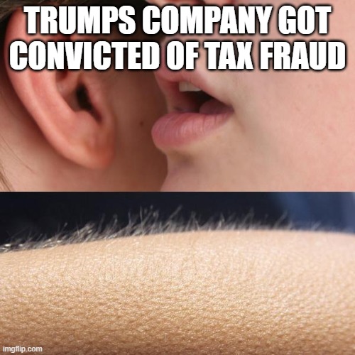 Whisper and Goosebumps | TRUMPS COMPANY GOT CONVICTED OF TAX FRAUD | image tagged in whisper and goosebumps | made w/ Imgflip meme maker