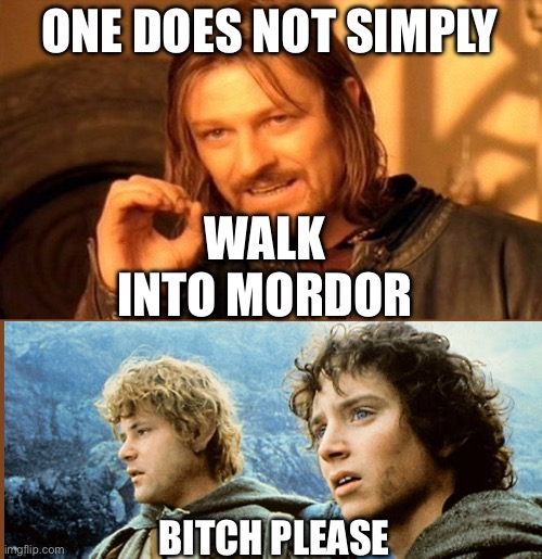 They did | ONE DOES NOT SIMPLY; WALK INTO MORDOR; BITCH PLEASE | image tagged in memes,one does not simply | made w/ Imgflip meme maker