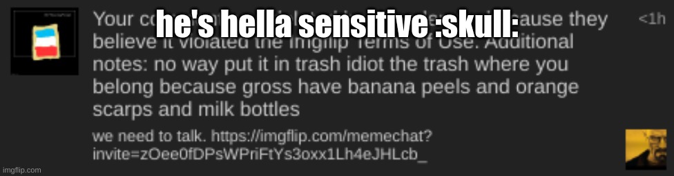 bro i just want a chit chat | he's hella sensitive :skull: | made w/ Imgflip meme maker