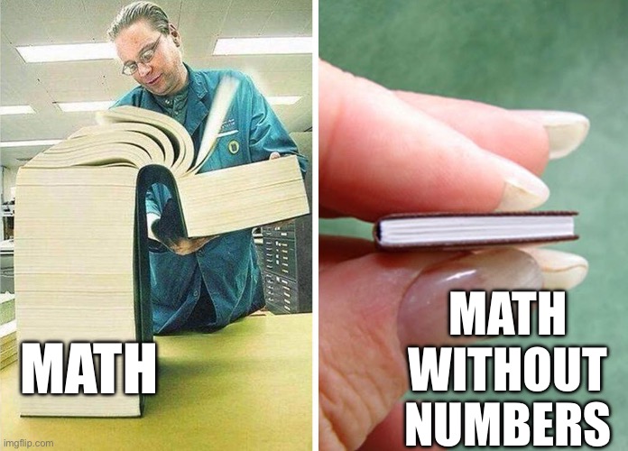 Math without nb | MATH WITHOUT NUMBERS; MATH | image tagged in big book little book,math,memes,hahaha | made w/ Imgflip meme maker