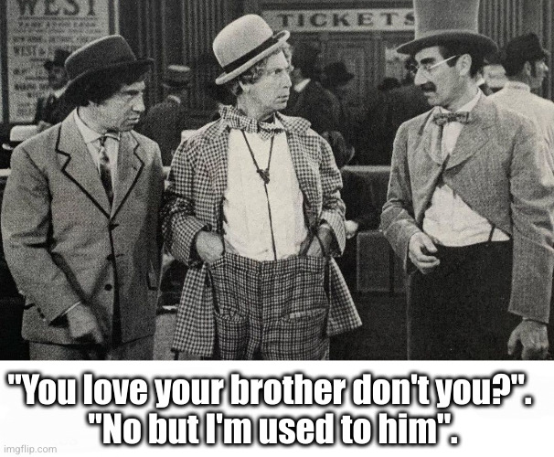 The Marx Brothers | "You love your brother don't you?".

 "No but I'm used to him". | image tagged in groucho marx,brothers,west,comedy | made w/ Imgflip meme maker
