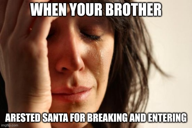 *sob* | WHEN YOUR BROTHER; ARESTED SANTA FOR BREAKING AND ENTERING | image tagged in memes,first world problems | made w/ Imgflip meme maker
