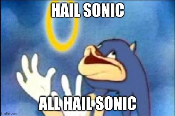 Sonic derp | HAIL SONIC ALL HAIL SONIC | image tagged in sonic derp | made w/ Imgflip meme maker