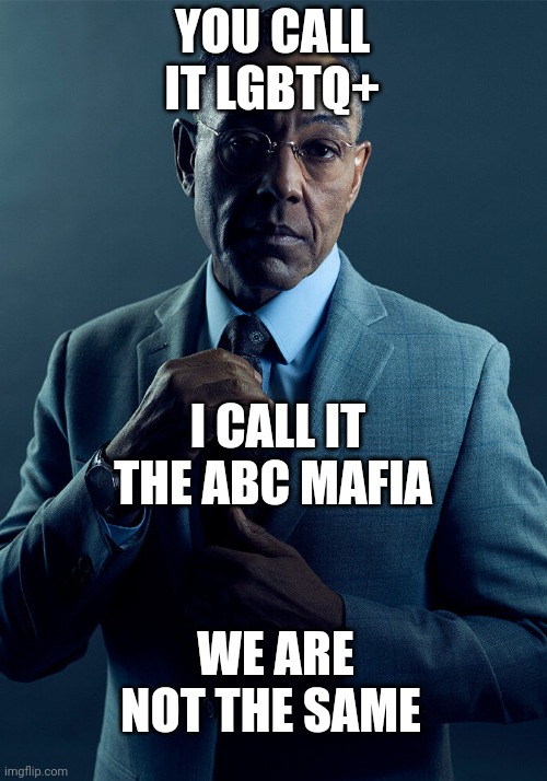 My bi self calls it the ABC mafia | YOU CALL IT LGBTQ+; I CALL IT THE ABC MAFIA; WE ARE NOT THE SAME | image tagged in gus fring we are not the same | made w/ Imgflip meme maker