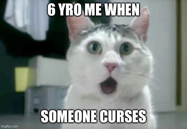 OMG Cat Meme | 6 YRO ME WHEN SOMEONE CURSES | image tagged in memes,omg cat | made w/ Imgflip meme maker