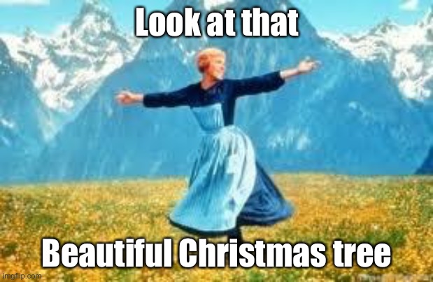 Beauty | Look at that; Beautiful Christmas tree | image tagged in memes,look at all these,sound of music,christmas | made w/ Imgflip meme maker