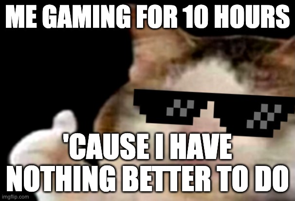 Based on a true story | ME GAMING FOR 10 HOURS; 'CAUSE I HAVE NOTHING BETTER TO DO | image tagged in sad cat thumbs up | made w/ Imgflip meme maker