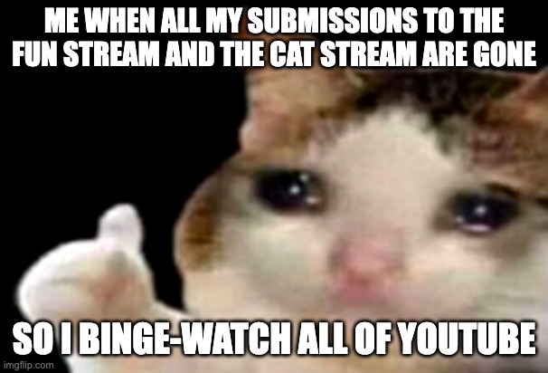 sad but true | ME WHEN ALL MY SUBMISSIONS TO THE FUN STREAM AND THE CAT STREAM ARE GONE; SO I BINGE-WATCH ALL OF YOUTUBE | image tagged in sad cat thumbs up,sad but true,true story | made w/ Imgflip meme maker