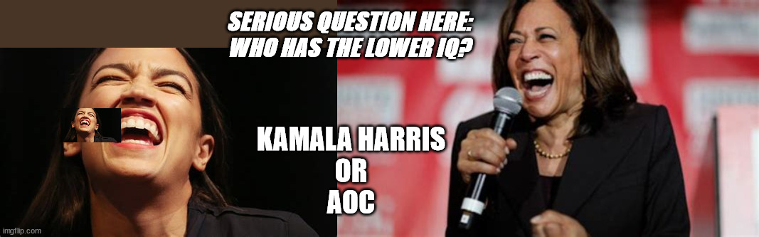 Who's dumber aoc or kamala | SERIOUS QUESTION HERE:
WHO HAS THE LOWER IQ? KAMALA HARRIS
OR
AOC | image tagged in kamala harris,aoc | made w/ Imgflip meme maker