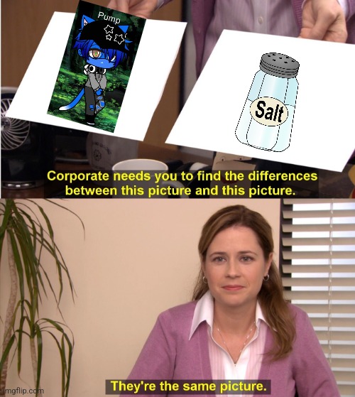 They're The Same Picture | image tagged in memes,they're the same picture | made w/ Imgflip meme maker