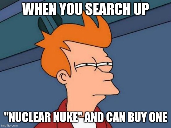 Wtf | WHEN YOU SEARCH UP; "NUCLEAR NUKE" AND CAN BUY ONE | image tagged in memes,futurama fry | made w/ Imgflip meme maker