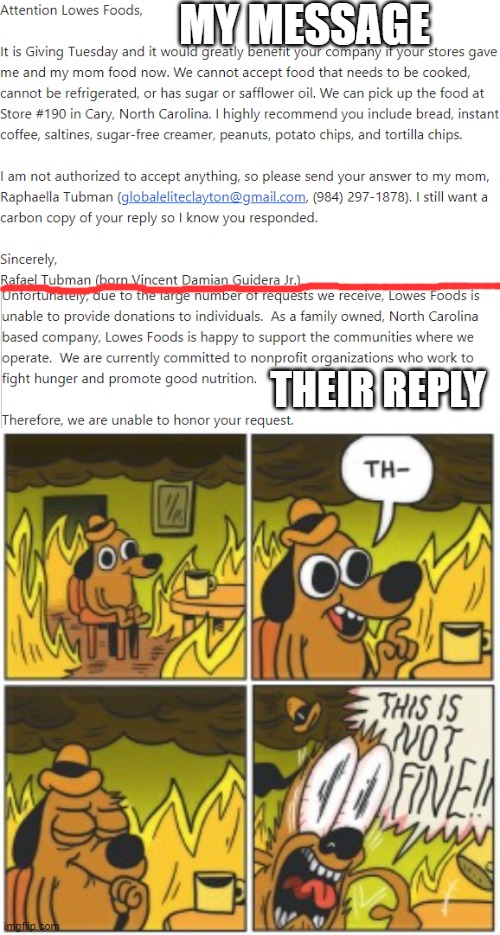 Correspondence with Lowes Foods | MY MESSAGE; THEIR REPLY | image tagged in this is not fine four frames,this is not fine,email,dogs,memes,reply | made w/ Imgflip meme maker
