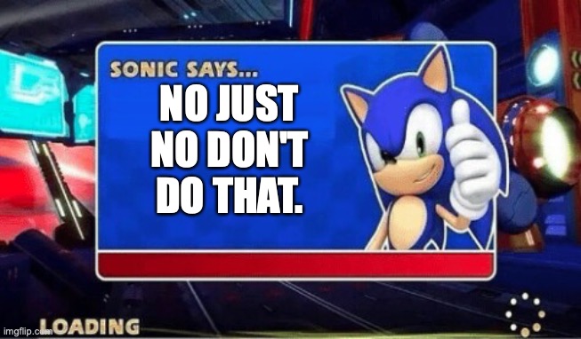 NO JUST NO DON'T DO THAT. | image tagged in sonic says | made w/ Imgflip meme maker