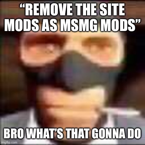 spi | “REMOVE THE SITE MODS AS MSMG MODS”; BRO WHAT’S THAT GONNA DO | image tagged in spi | made w/ Imgflip meme maker