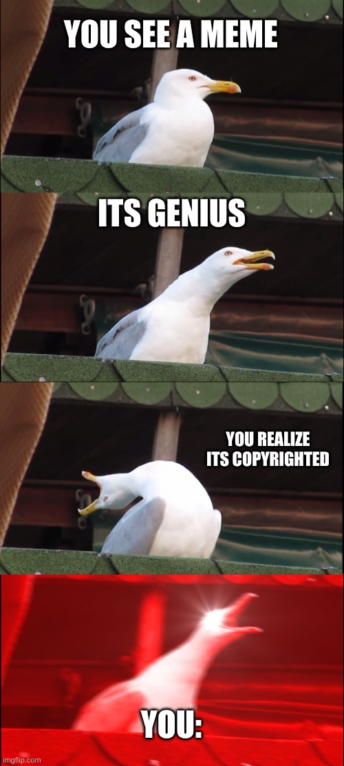 i know right | YOU SEE A MEME; ITS GENIUS; YOU REALIZE ITS COPYRIGHTED; YOU: | image tagged in memes,inhaling seagull | made w/ Imgflip meme maker