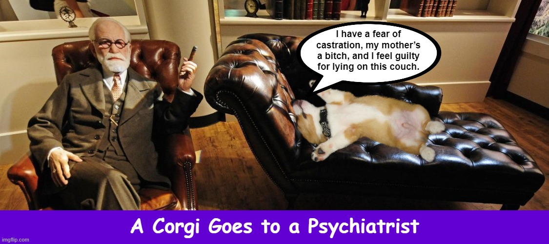 A Corgi Goes to a Psychiatrist | image tagged in corgi,psychiatrist,psychoanalysis,funny,memes,pembroke welsh corgi | made w/ Imgflip meme maker
