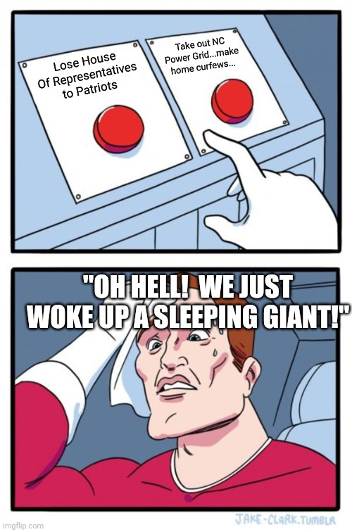 Civil Disobedience | Take out NC Power Grid...make home curfews... Lose House Of Representatives to Patriots; "OH HELL!  WE JUST WOKE UP A SLEEPING GIANT!" | image tagged in memes,two buttons | made w/ Imgflip meme maker