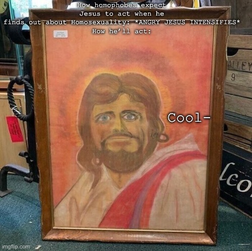 JeSUS | How homophobes expect Jesus to act when he finds out about Homosexuality: *ANGRY JESUS INTENSIFIES*
How he’ll act:; Cool- | image tagged in lol | made w/ Imgflip meme maker