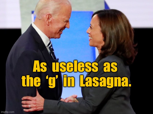 Biden and Harris | As  useless  as  the  ‘g’  in  Lasagna. | image tagged in biden harris,as useless,as the g in lasagna,politicians,politics | made w/ Imgflip meme maker
