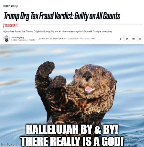 Hell yeah! | HALLELUJAH BY & BY! THERE REALLY IS A GOD! | image tagged in otter celebration,trump organization,tax fraud | made w/ Imgflip meme maker