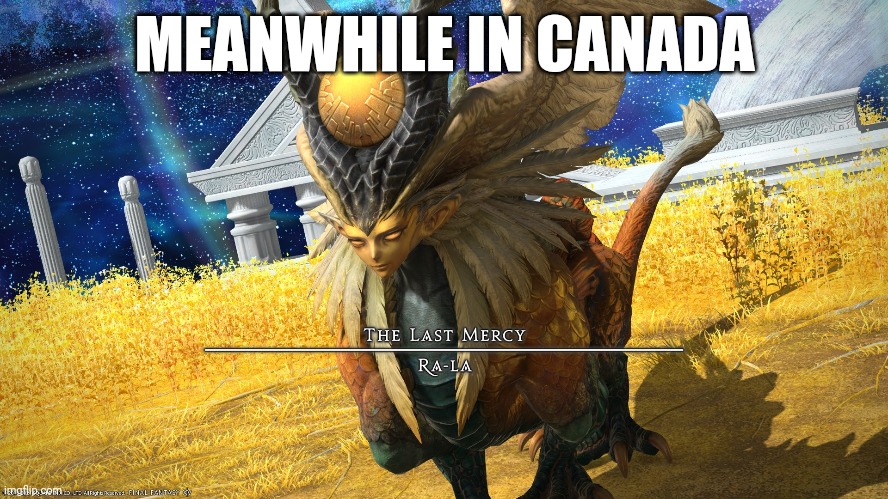 MEANWHILE IN CANADA | image tagged in ShitpostXIV | made w/ Imgflip meme maker