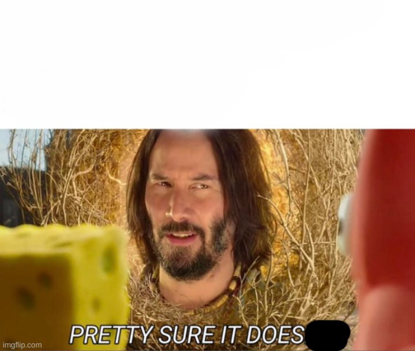 im pretty sure it doesnt | image tagged in im pretty sure it doesnt | made w/ Imgflip meme maker