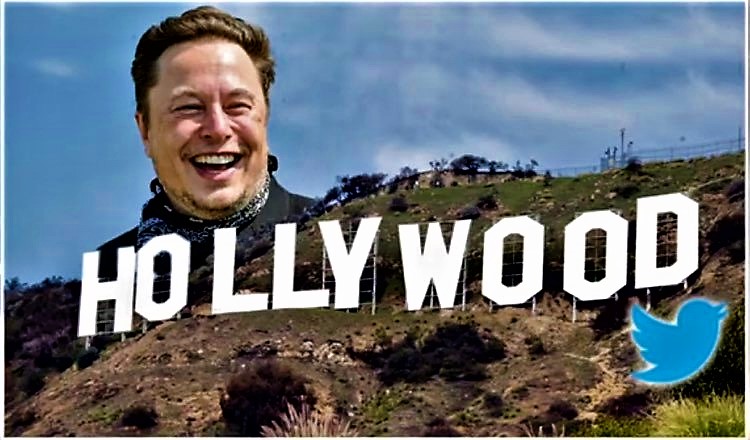 Elon Musk mocks Hollywood Blank Meme Template