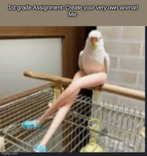 Bird legs | 1st grade Assignment: Create your very own animal!
Me: | image tagged in bird legs | made w/ Imgflip meme maker