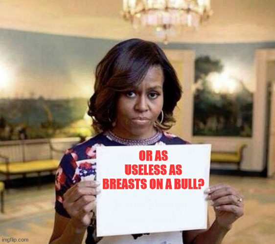 Michelle Obama blank sheet | OR AS USELESS AS BREASTS ON A BULL? | image tagged in michelle obama blank sheet | made w/ Imgflip meme maker