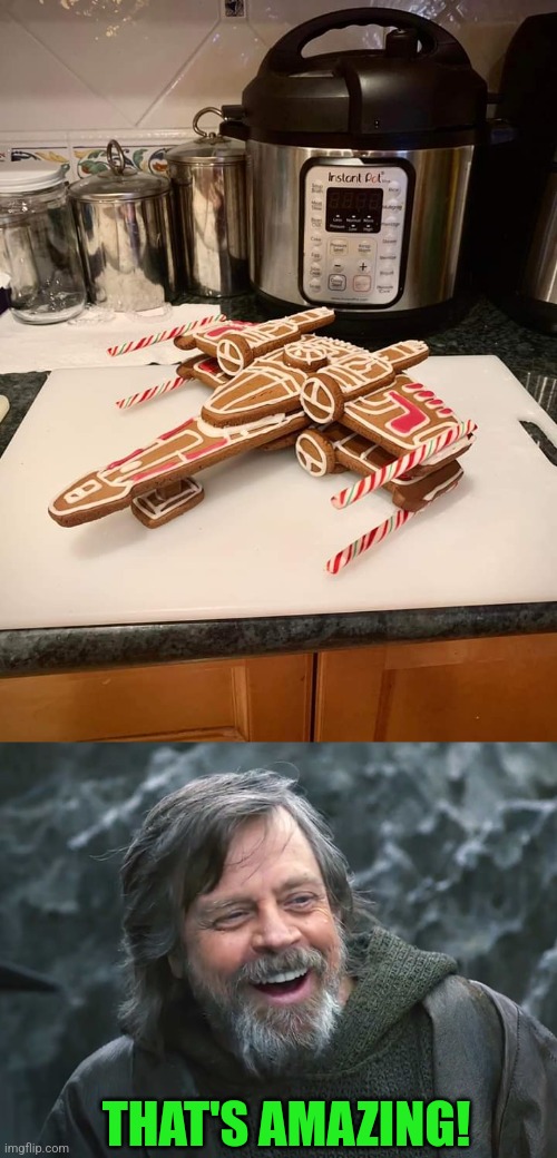 OH IT'S BEAUTIFUL | THAT'S AMAZING! | image tagged in star wars,gingerbread,christmas,x-wing,star wars meme | made w/ Imgflip meme maker