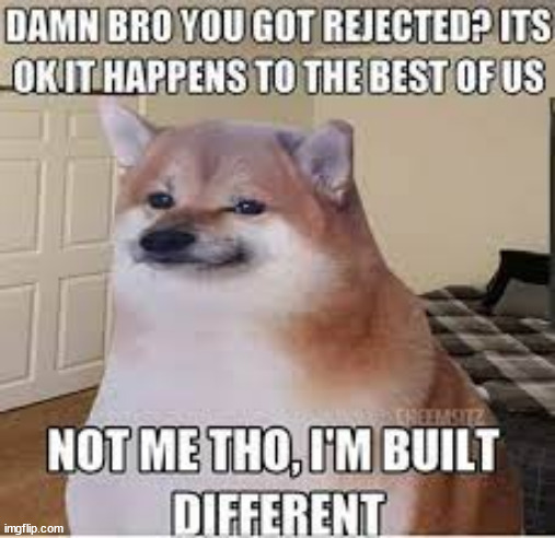 damn bro you got rejected | image tagged in damn bro you got rejected | made w/ Imgflip meme maker