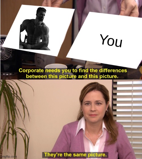 They're The Same Picture | You | image tagged in memes,they're the same picture | made w/ Imgflip meme maker