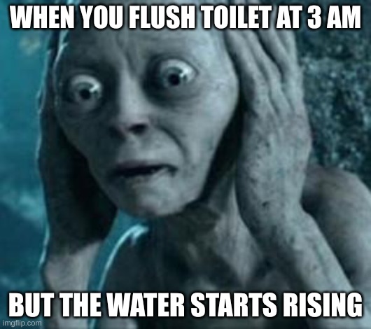 Uh, mom? Yeah, I clogged the toilet again. | WHEN YOU FLUSH TOILET AT 3 AM; BUT THE WATER STARTS RISING | image tagged in scared gollum | made w/ Imgflip meme maker