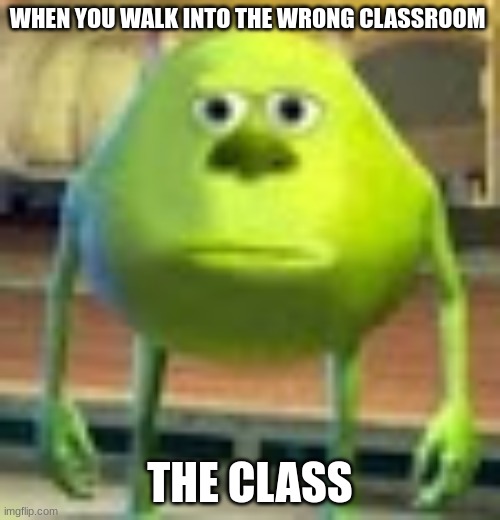 Sully Wazowski | WHEN YOU WALK INTO THE WRONG CLASSROOM; THE CLASS | image tagged in sully wazowski | made w/ Imgflip meme maker