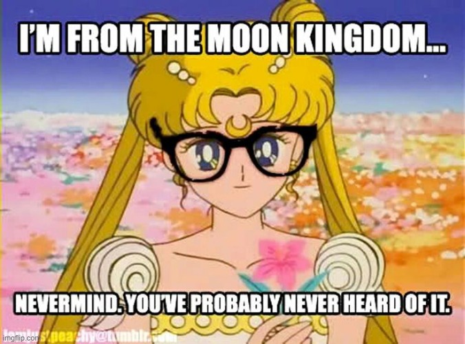 I'm from the moon kingdom... Never mind. You've probably never heard of it. | made w/ Imgflip meme maker