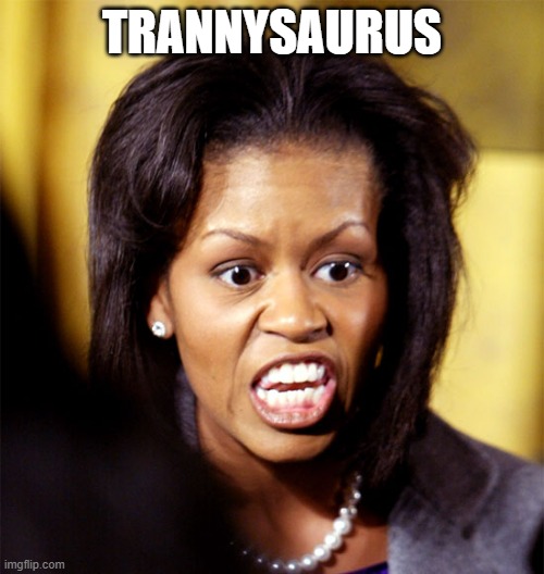 Michelle Obama Lookalike | TRANNYSAURUS | image tagged in michelle obama lookalike | made w/ Imgflip meme maker
